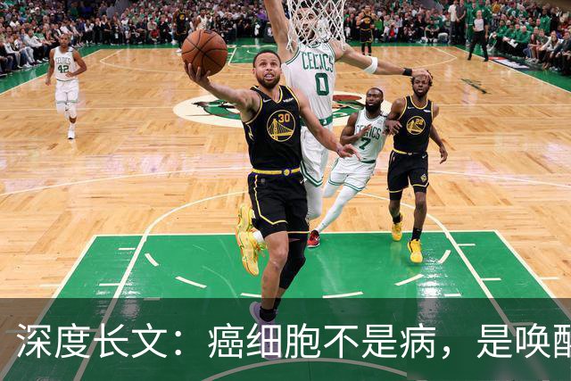 深度长文：癌细胞不是病，是唤醒了 25 亿年前的生存本能！
